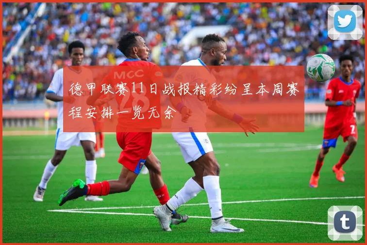 德甲联赛11日战报精彩纷呈本周赛程安排一览无余